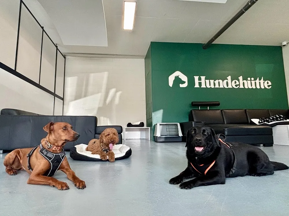 Hundehütte March GmbH - Schwyz pet otel