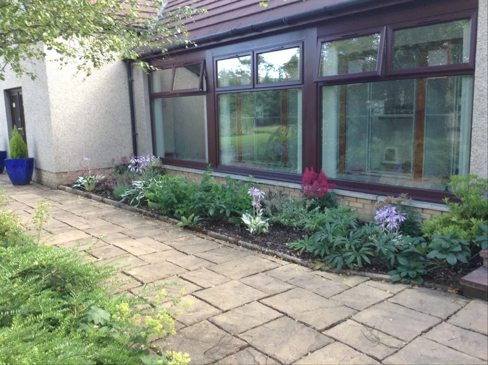Adam's Purrfect Cattery - Scotland pet otel görseli 3
