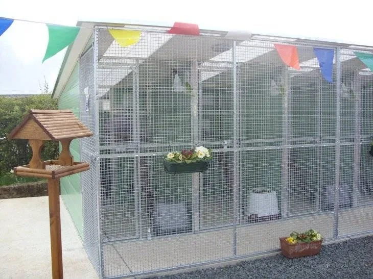 Braeside Cattery & Kennels - Scotland pet otel görseli 3