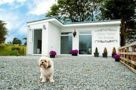 Clyde Valley Pet Retreat - Scotland pet otel görseli 2