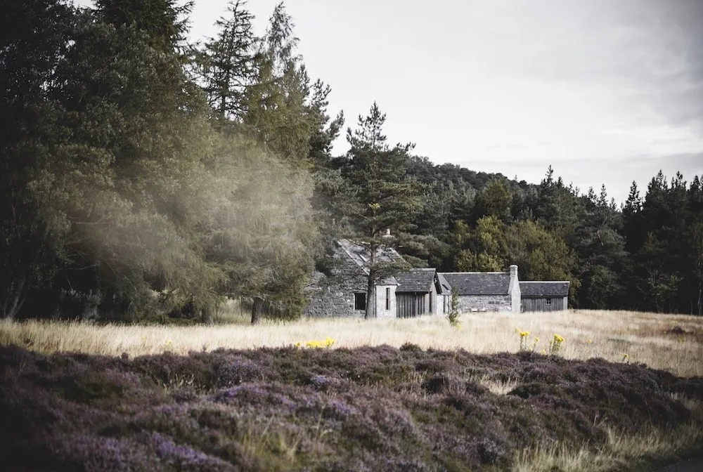 Kennels Cottage - Scotland pet otel