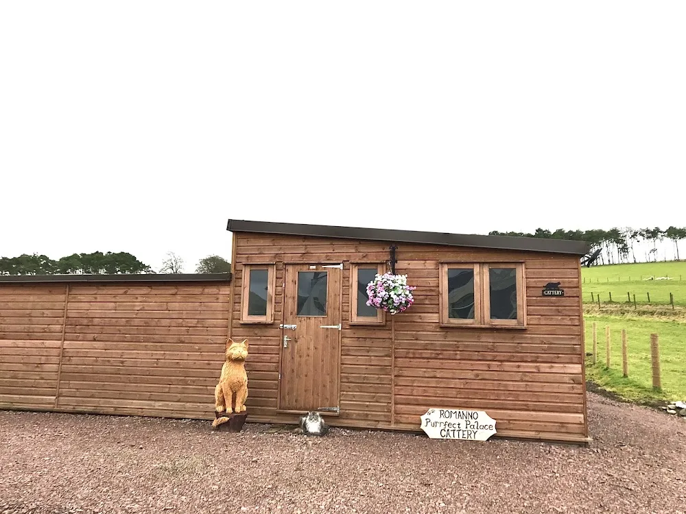 Romanno Purrfect Palace Cattery - Scotland pet otel görseli 2