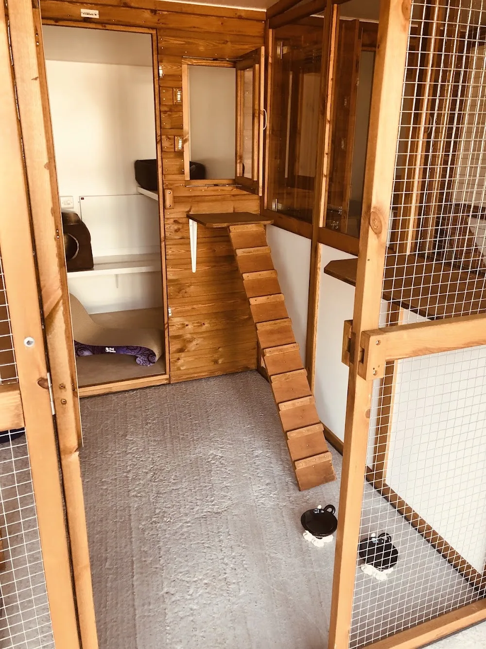 Romanno Purrfect Palace Cattery - Scotland pet otel görseli 3