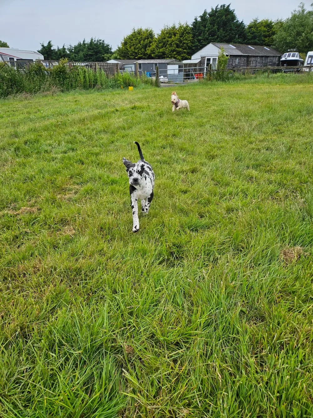 Sundown Kennels - Scotland pet otel görseli 2