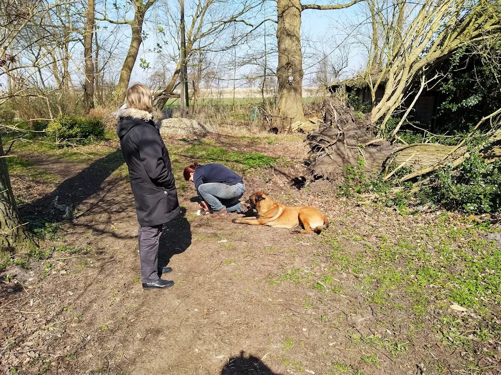 Hundehof Ovelgönner Moor - Seevetal pet otel
