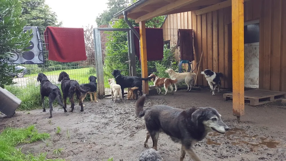 Hundehof Ovelgönner Moor - Seevetal pet otel görseli 3