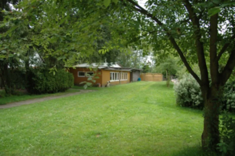 Hundeschule der Heidehof in Insel - Seevetal pet otel