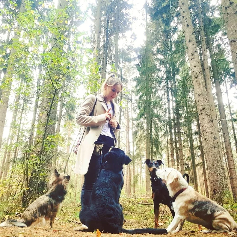 Kat-Dog Hundebetreuung mit Herz - Seevetal pet otel