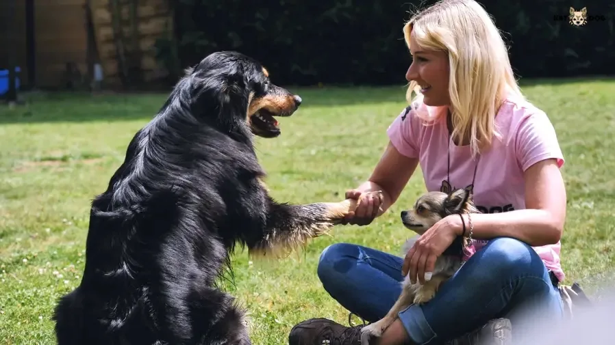 Kat-Dog Hundebetreuung mit Herz - Seevetal pet otel görseli 3