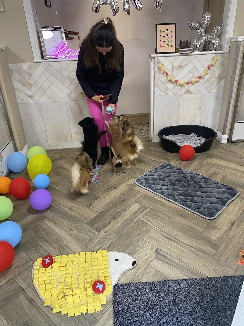 Tatlock Farm Dog Hotel - Sefton pet otel görseli 3
