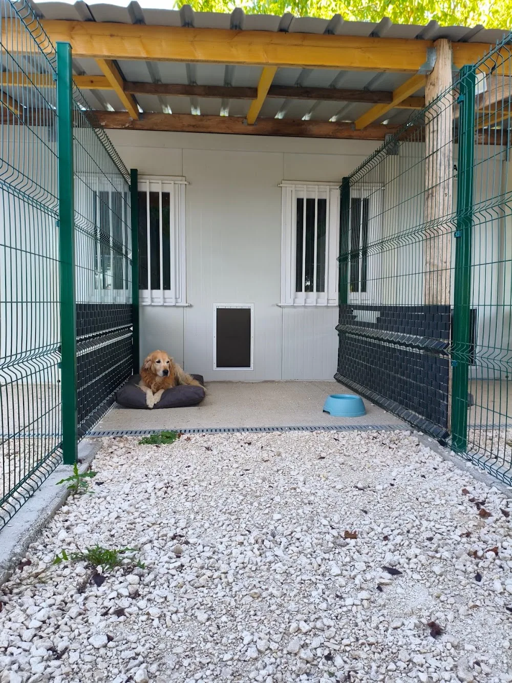 DOGVEL PENSION - Seine-et-Marne pet otel