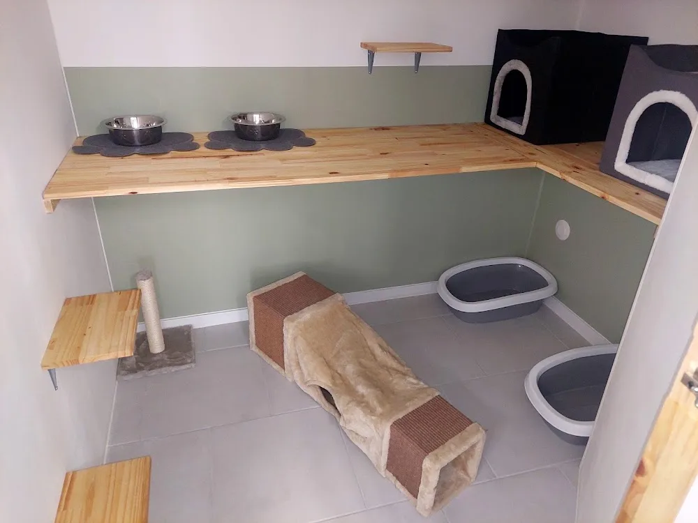 Cat-Étoiles - Seine-Maritime pet otel görseli 2