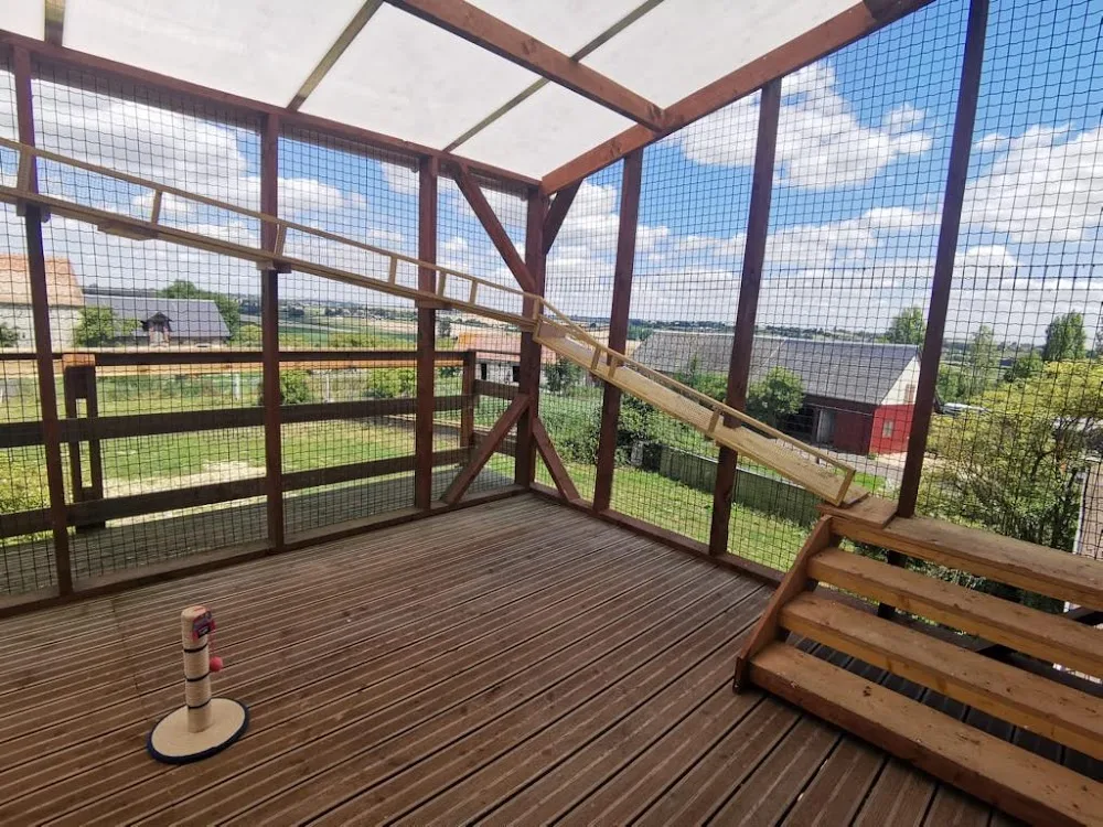 K6 pension canine et féline - Seine-Maritime pet otel görseli 2