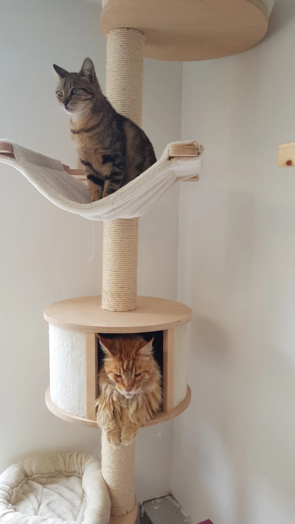 Le Domaine des Mistigris - Seine-Maritime pet otel görseli 3