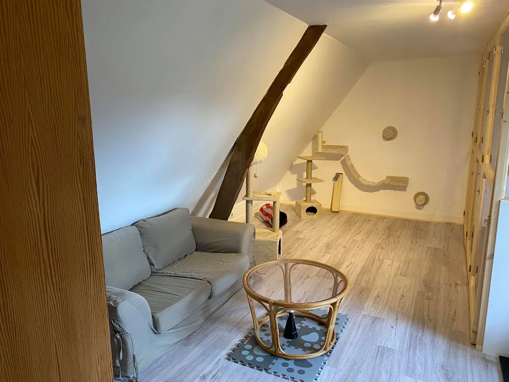 Les Chatelains de Miromesnil - Seine-Maritime pet otel görseli 7