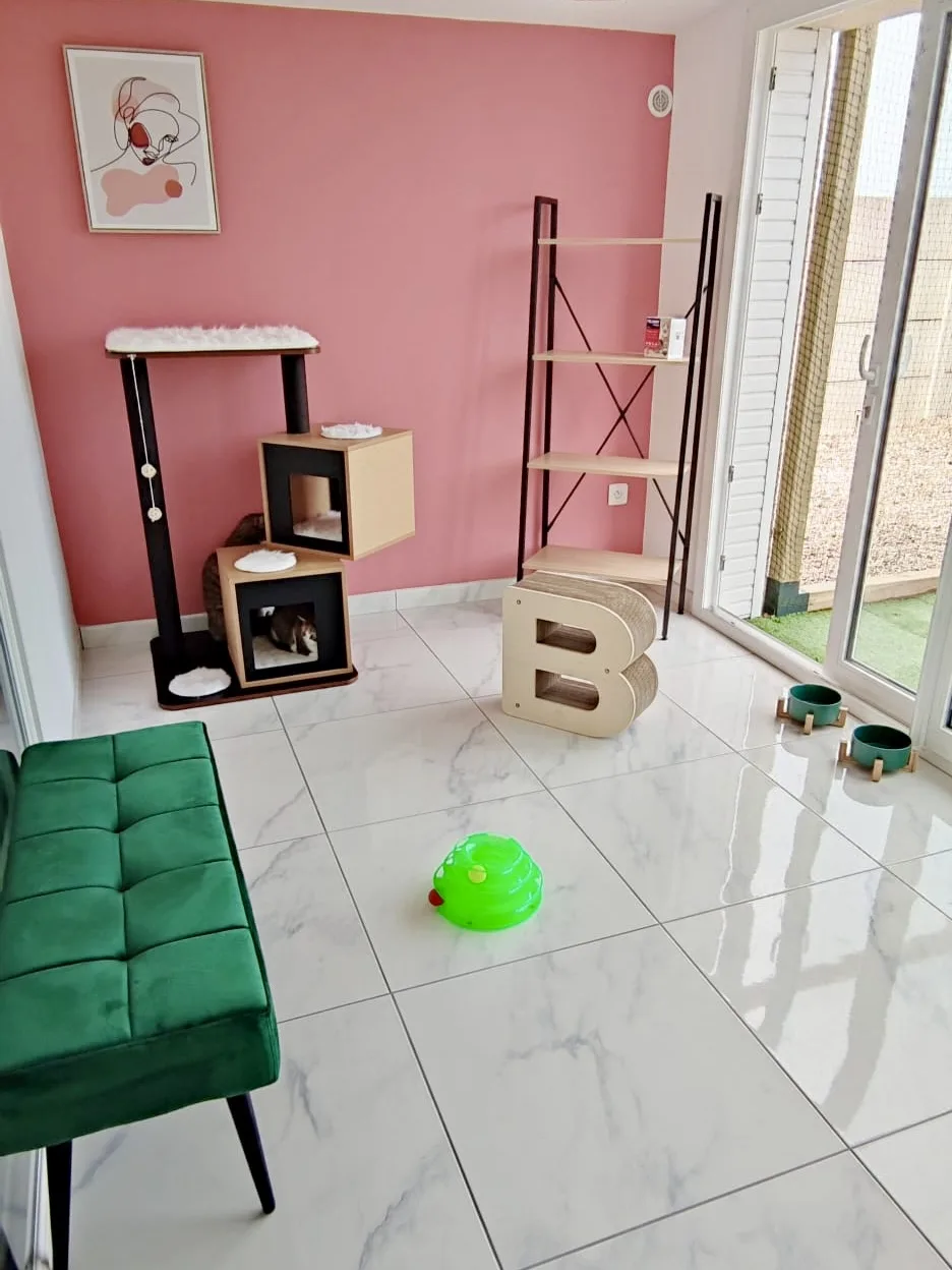 Pension du Château Vieux - Seine-Maritime pet otel görseli 2
