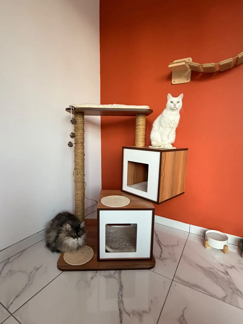 Pension du Château Vieux - Seine-Maritime pet otel görseli 3