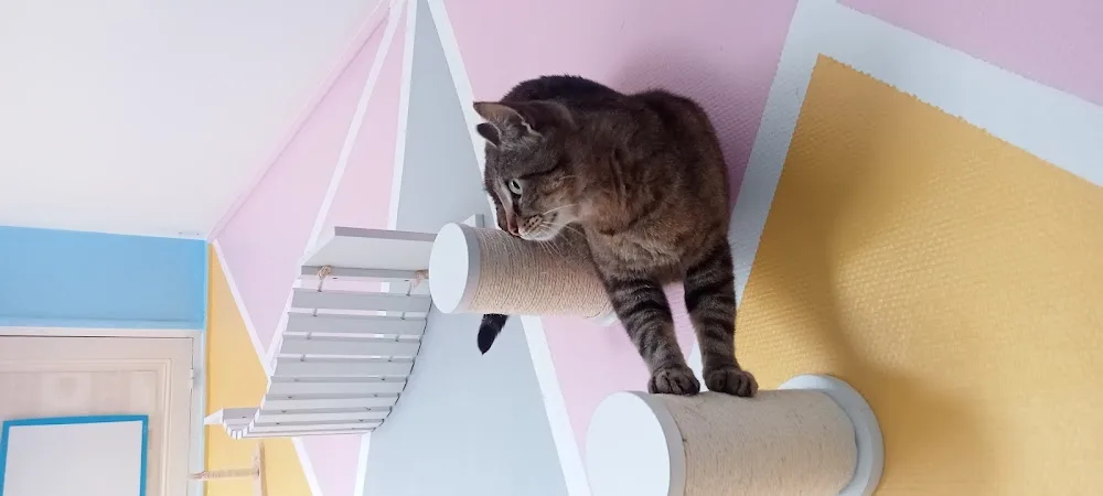 The Pets Family - Seine-Maritime pet otel