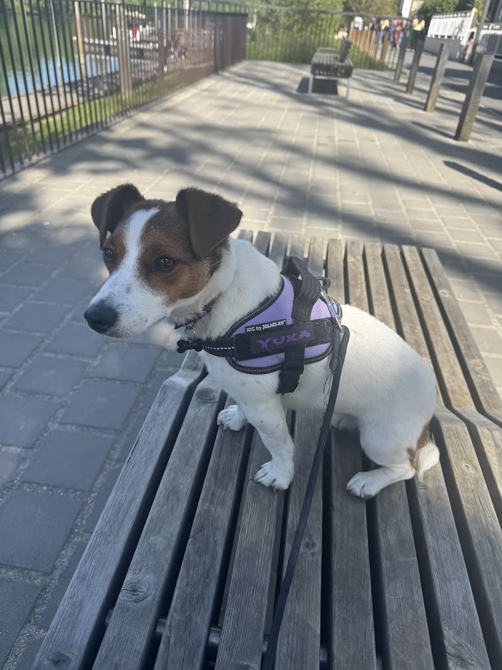 Garde d’animaux Fanny - Seine-Saint-Denis pet otel