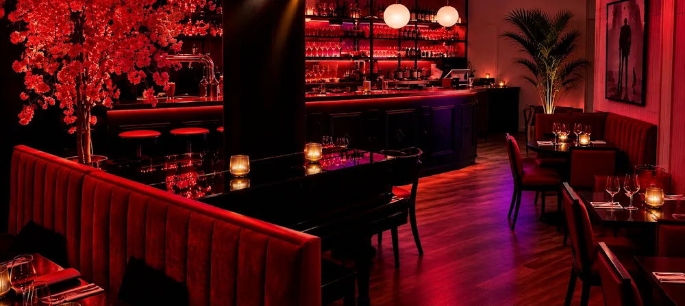 Hôtel Le Chat Noir - Seine-Saint-Denis pet otel görseli 4