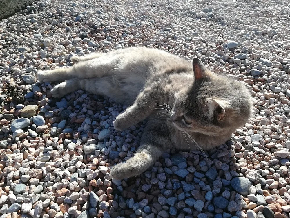 Allevamento della Brianza - Seregno pet otel