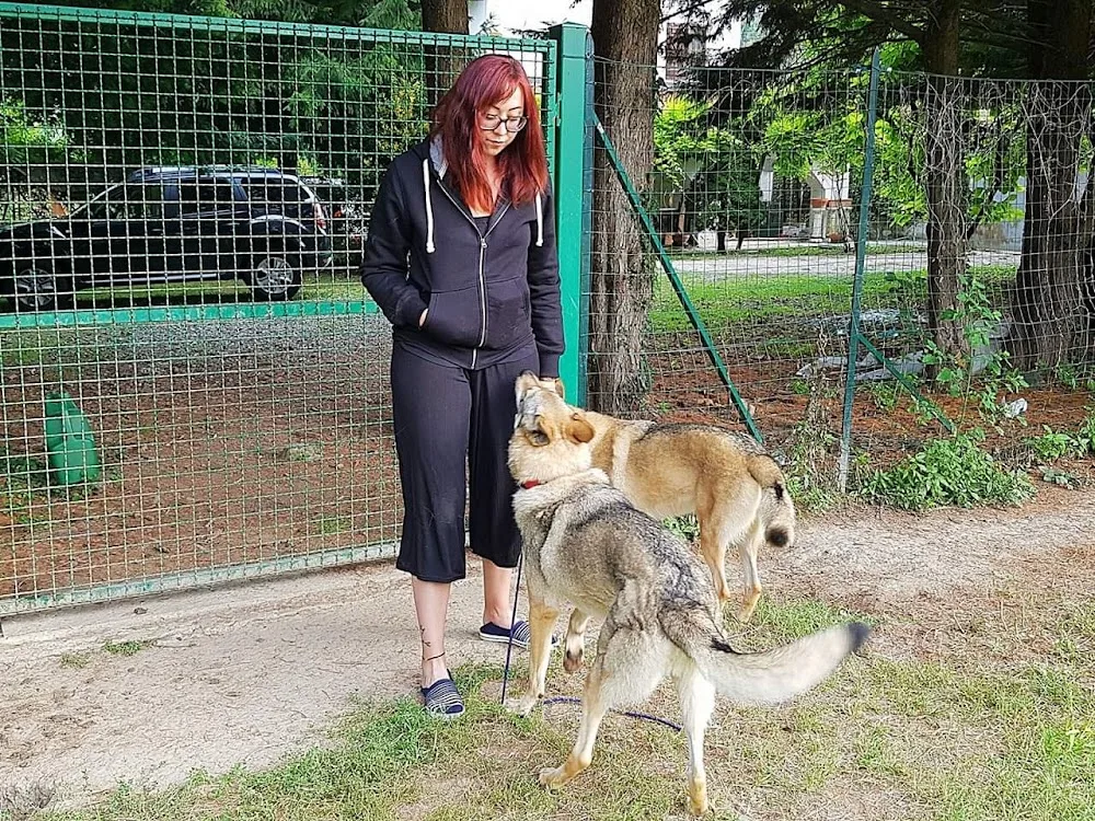 Le Tate di Fido - Seregno pet otel görseli 3