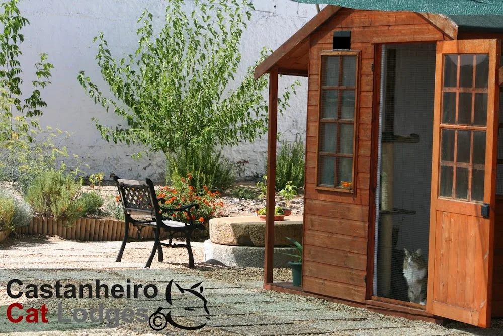 Castanheiro Cat Lodges - Setúbal pet otel