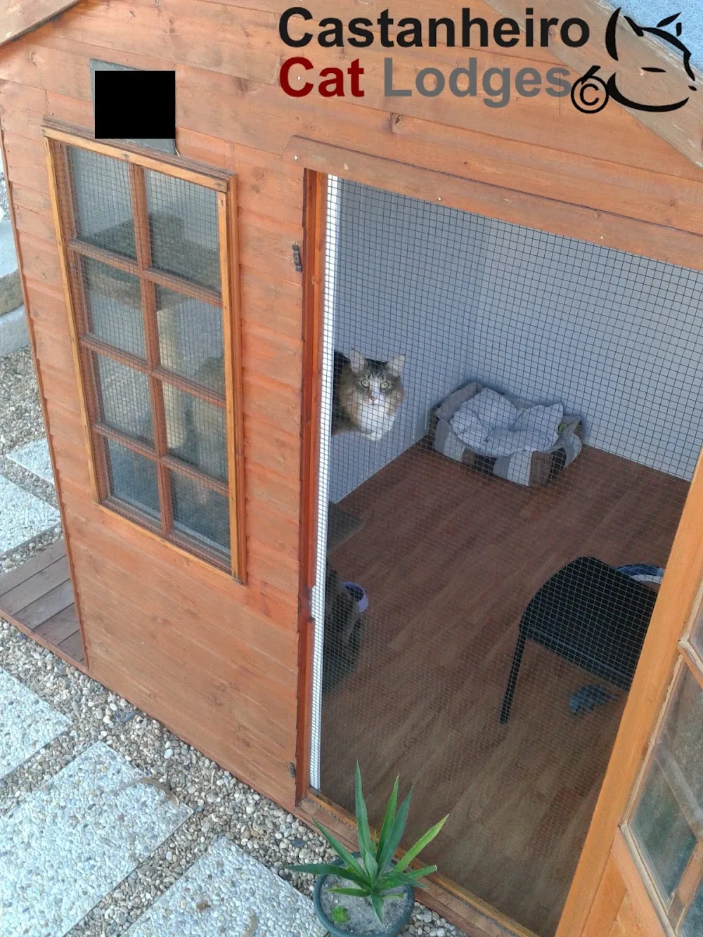Castanheiro Cat Lodges - Setúbal pet otel görseli 3