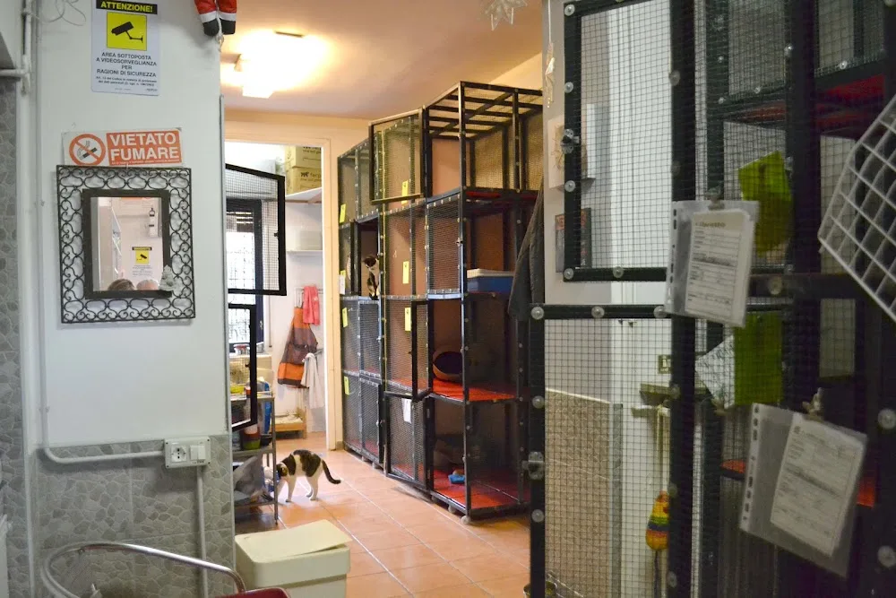 Il Baffo D'Oro - Seveso pet otel görseli 3