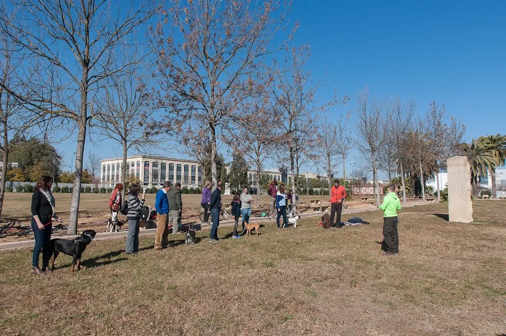 Adiestracaninos.es | Rehabilitación, Educación y Adiestramiento Canino en Sevilla - Seville pet otel