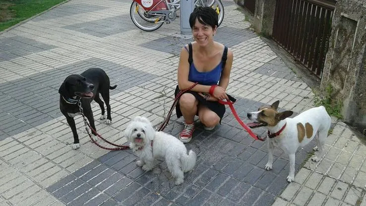 Días de perros | Cuidado y paseos de perros en Sevilla - Seville pet otel görseli 3