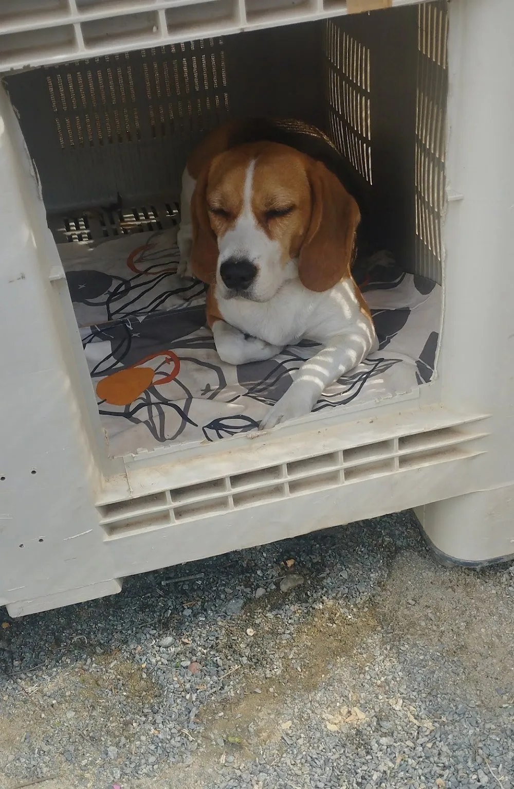 La Comuna Canina - Seville pet otel
