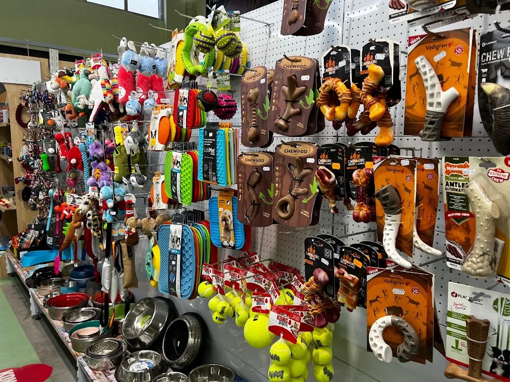 Mascotas Sevilla Torneo - Seville pet otel görseli 3