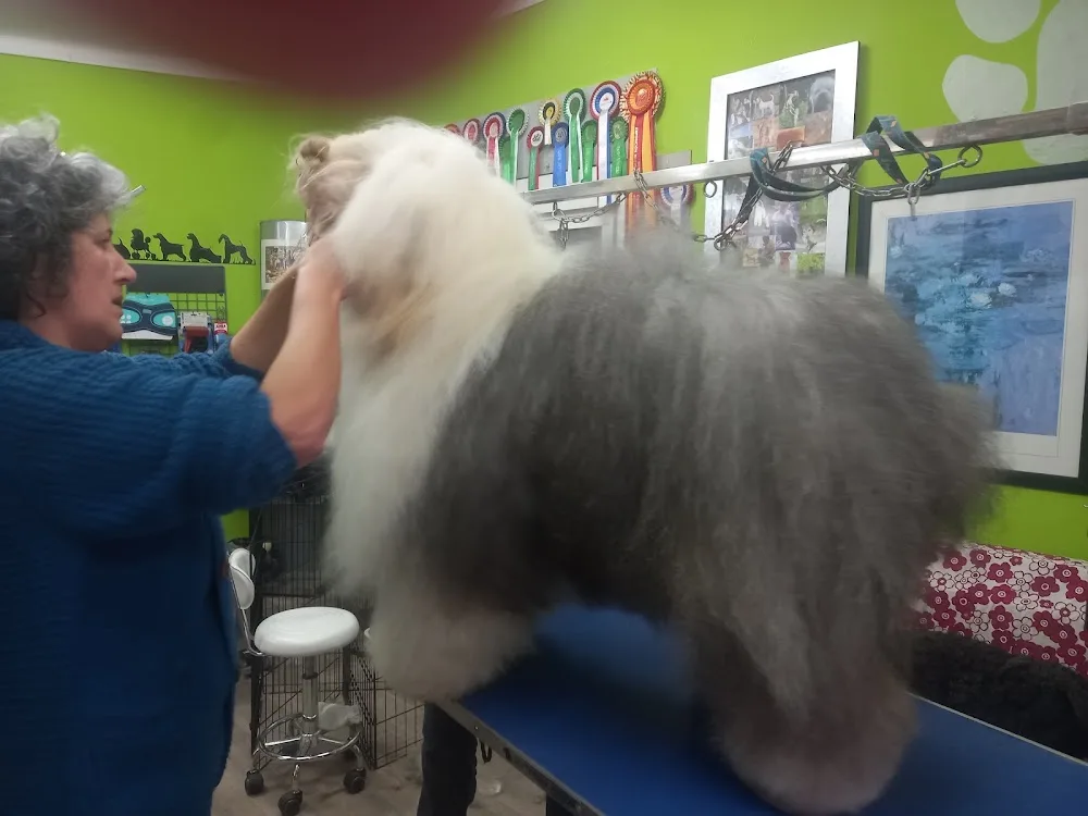 Peluqueria Canina El sevillano - Seville pet otel görseli 2