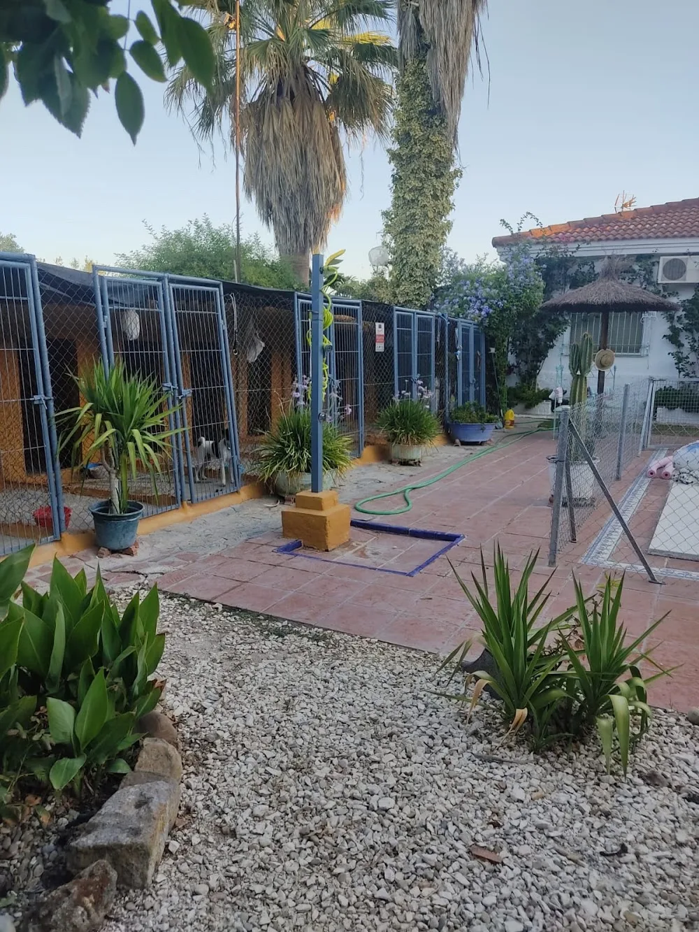 Residencia Canina Astigi - Seville pet otel görseli 2