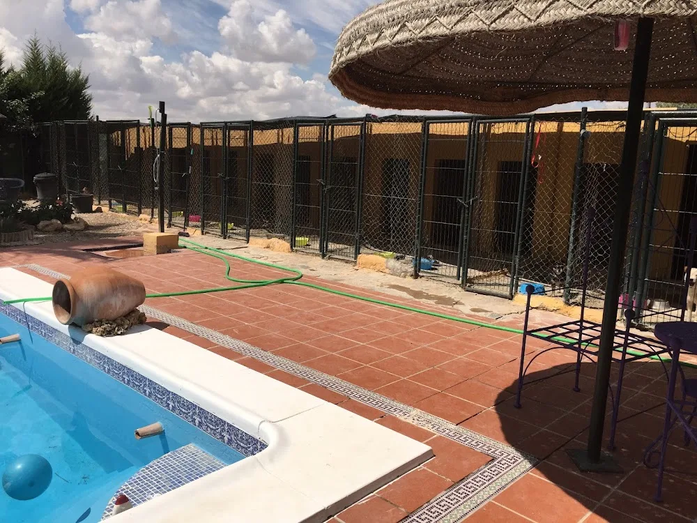 Residencia Canina Astigi - Seville pet otel görseli 3