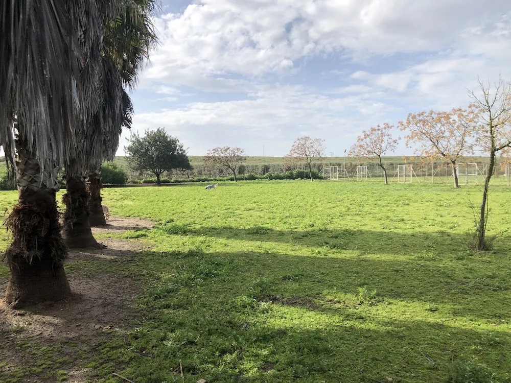 Residencia Canina La Ventosilla - Seville pet otel görseli 3