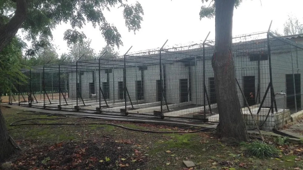 Residencia canina y felina Kennel Sahara - Seville pet otel görseli 2