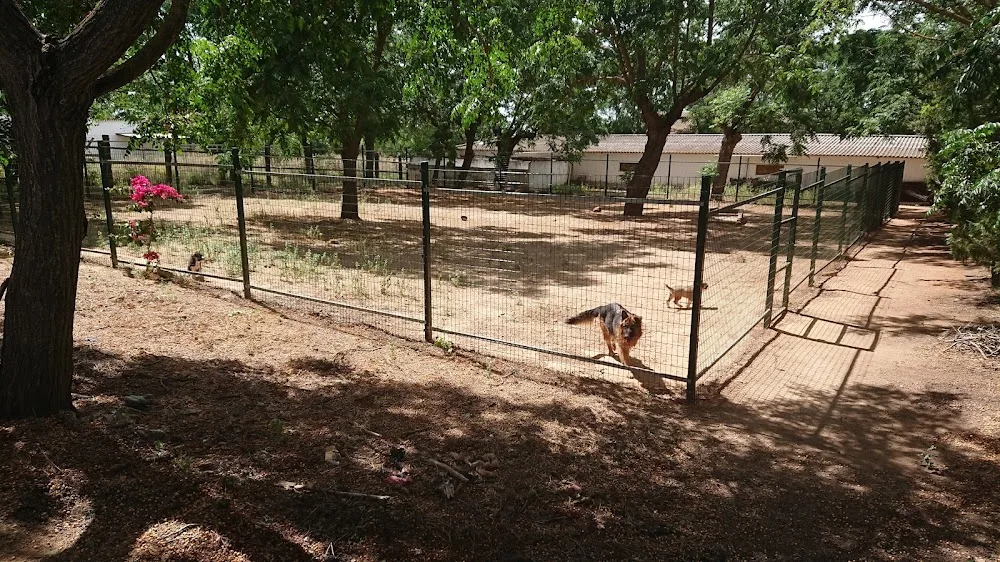 Residencia canina y felina Kennel Sahara - Seville pet otel görseli 3