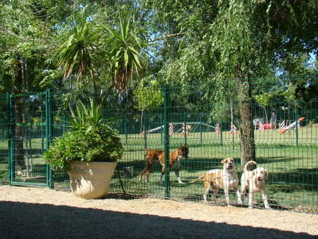 Residencia Canina y Felina Ruta de la Plata - Sevilla - Seville pet otel görseli 3