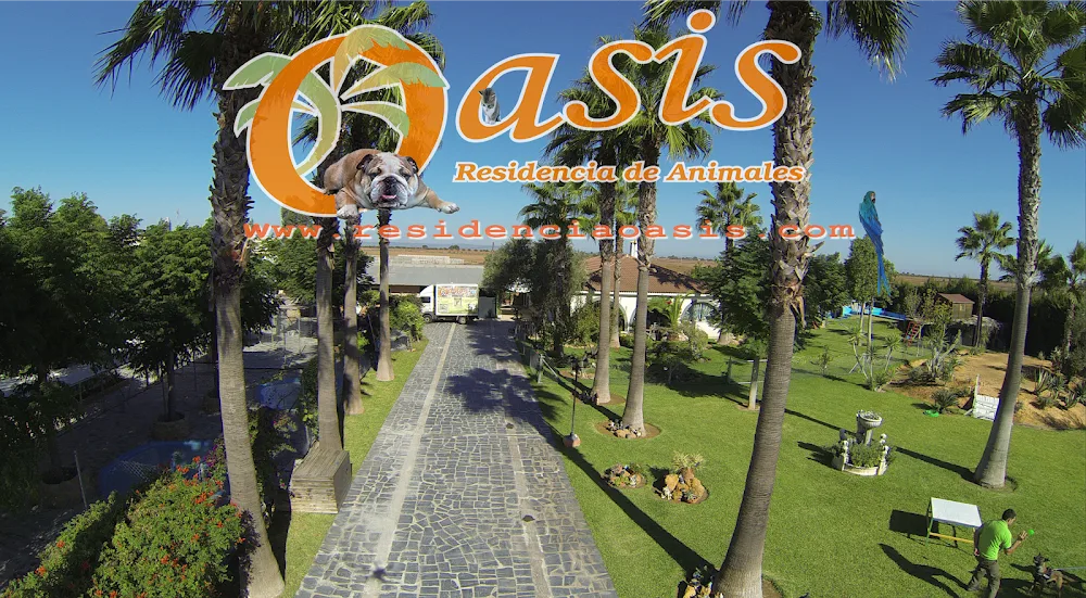 Residencia de Animales Oasis - Seville pet otel görseli 2