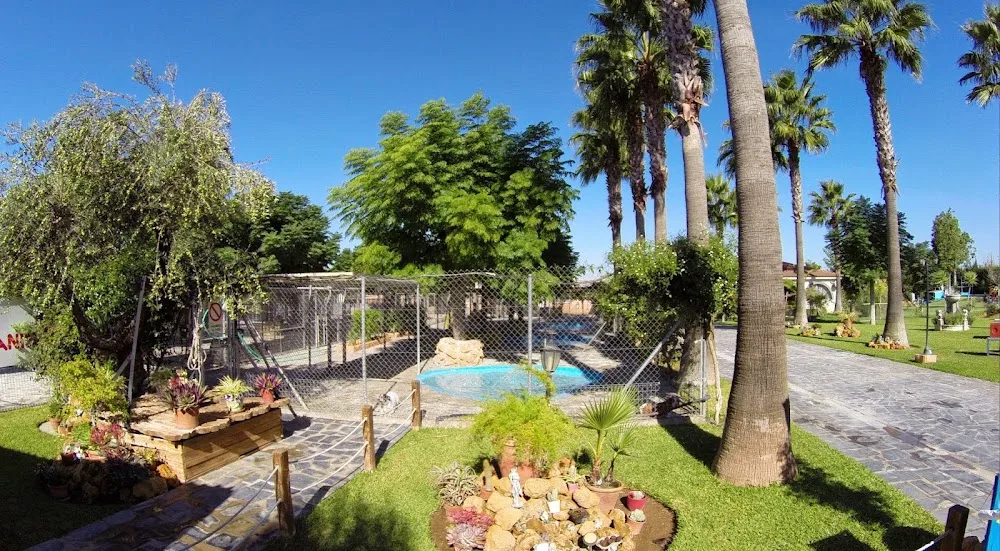 Residencia de Animales Oasis - Seville pet otel görseli 4