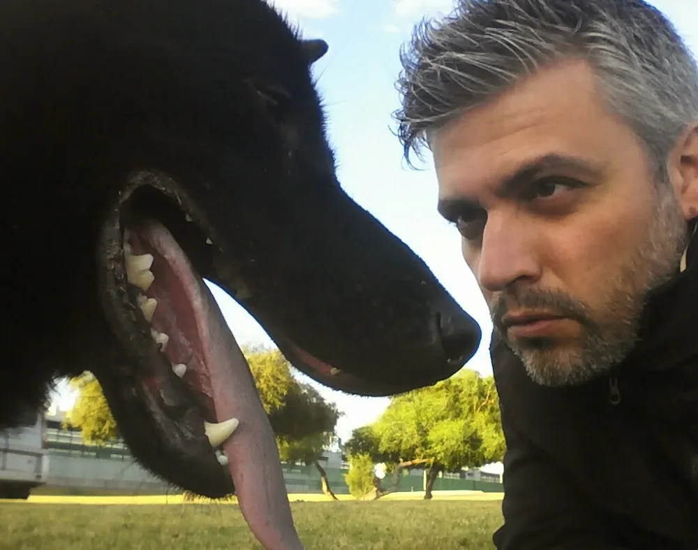 Urancán - Adiestramiento y Educación Canina en Sevilla - Seville pet otel görseli 2