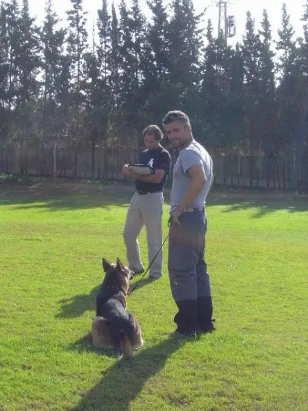 Urancán - Adiestramiento y Educación Canina en Sevilla - Seville pet otel görseli 3