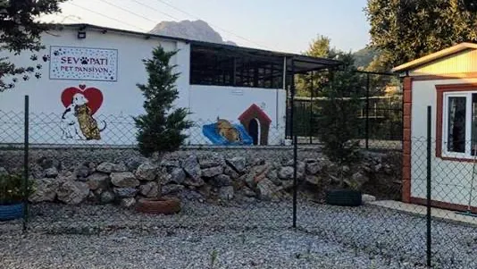 Sevpati Pet (Pet Pansiyon & Pet Kuaför & Pet Shop) - Bodrum pet otel görseli 2