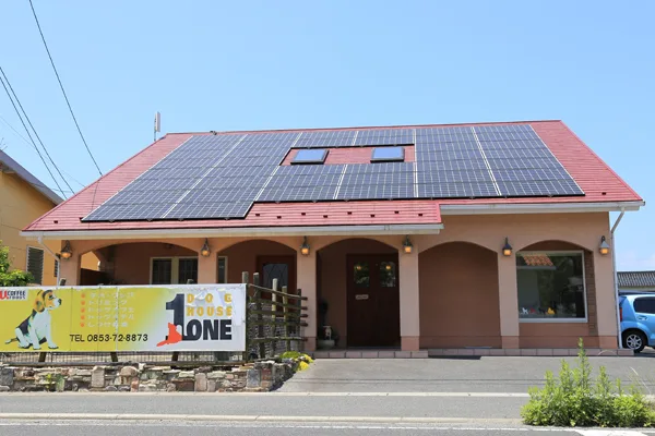 Dog House One（ドッグハウス ワン） - Shimane pet otel görseli 3