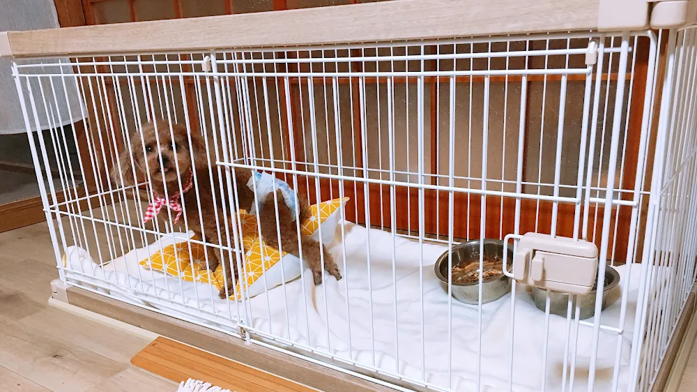 PETHOTEL Take-HOUSE - Shimane pet otel görseli 3