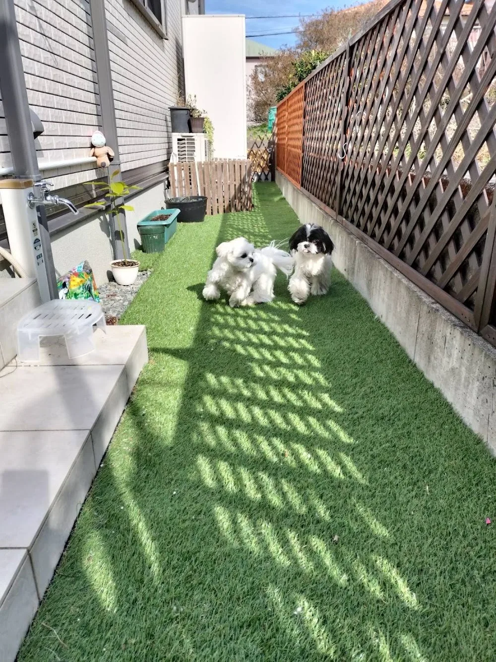 doghotel&shampooこはる日和 - Shizuoka pet otel