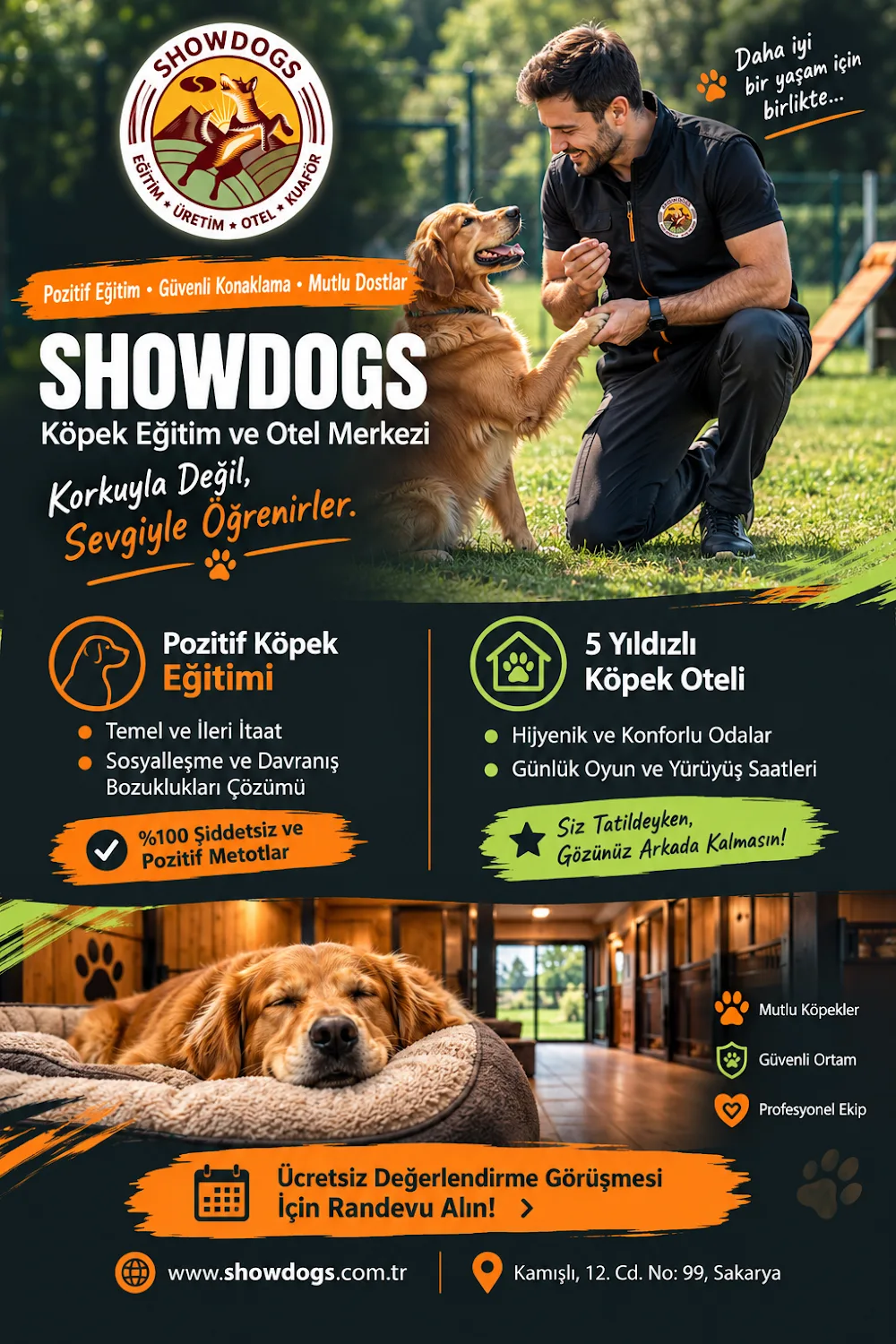 Showdogs Köpek Eğitim Otel Üretim Satış - Sakarya pet otel görseli 2