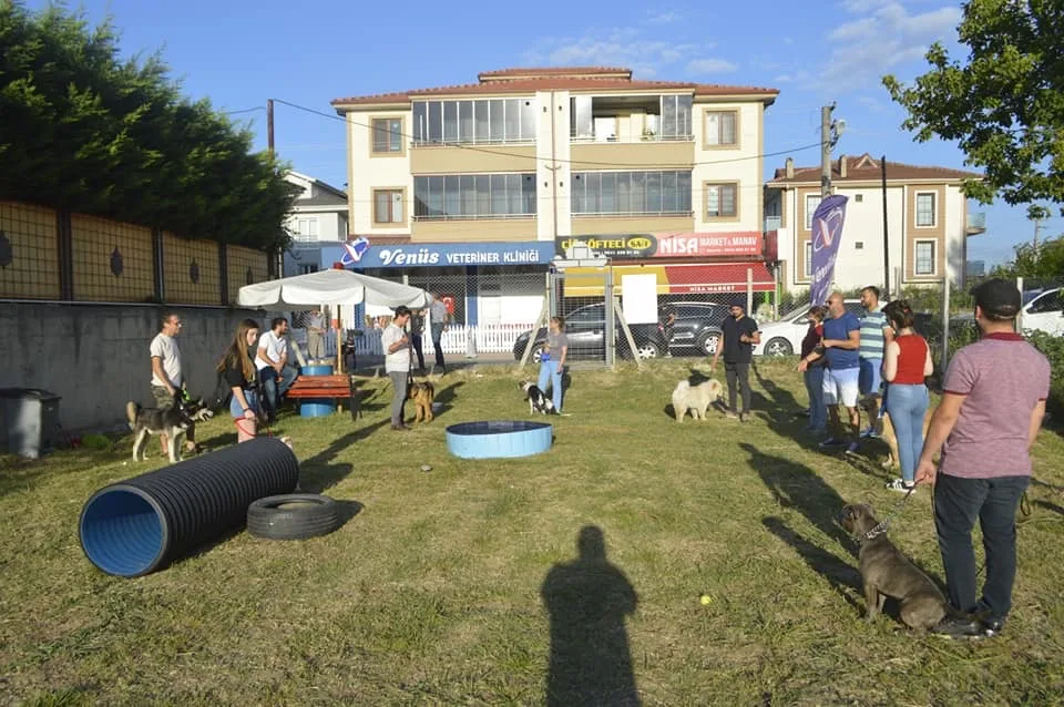 Showdogs Köpek Eğitim Otel Üretim Satış - Sakarya pet otel görseli 3